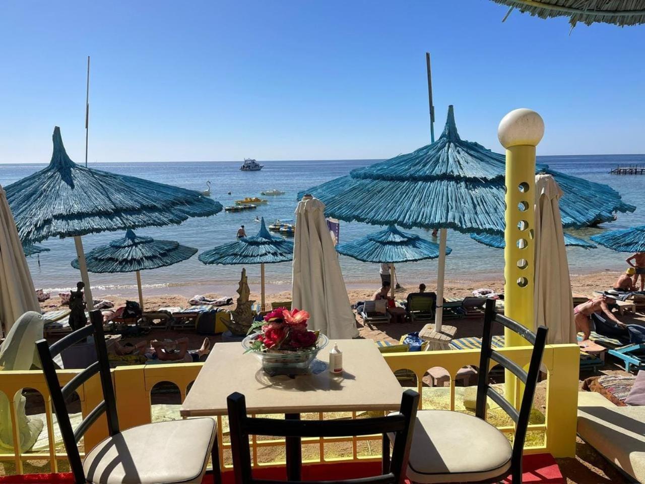 Курортный комплекс Sharm Holiday Resort 4*